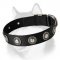 Nylon Dog Collar With Silver Conchos for Siberian Husky,Akita,Malamute