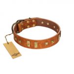 "Sand of Time" FDT Artisan Tan Leather Siberian Husky Collar with Old Bronze-like Studs and Plates