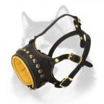Handcrafted Decorated Padded Leather Muzzle for Siberian Husky
