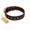 "Spring Flower" Stylish FDT Artisan Brown Leather Siberian Husky Collar for Comfy Walks