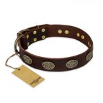 "Chocolate kiss" FDT Artisan Leather Siberian Husky Collar with Old Bronze Look Oval Plates