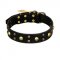 FDT Artisan 'Heavy Metal' Leather Siberian Husky Collar with Skulls and Half-Balls 1 1/2 inch (40 mm)