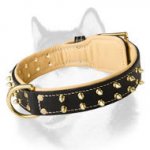 Nappa Padded Dog Collar with 2 Rows of Brass Spikes for Siberian Husky