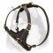 Walking Leather Harness for Siberian Husky