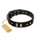"De Luxe" FDT Artisan Black Leather Siberian Husky Collar with Old Bronze-like Plates and Studs