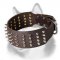 "Gladiator Style" Leather Dog Collar for Siberian Husky