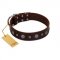 "Pure Sensation" Exclusive FDT Artisan Brown Leather Siberian Husky Collar with Fancy Brooches and Studs
