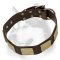 Awesome Leather Siberian Husky Collar with Massive Plates