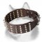 Wide Leather Dog Collar for Siberian Husky with Studs and Spikes