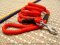 Cord nylon dog leash