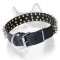 Spiked Leather Dog Collar for Siberian Husky Breed