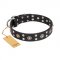 "Refined Essence" FDT Artisan Black Leather Siberian Husky Collar with Silvery Studs