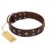 "Stars in Sands" Modern FDT Artisan Brown Leather Siberian Husky Collar with Studs and Stars