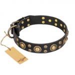 'Baroque Chic' FDT Artisan Studded Black Leather Siberian Husky Dog Collar