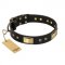 "Black Sun" FDT Artisan Leather Siberian Husky Collar with Brass Plated Decorations