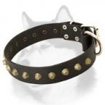 Wide Leather Dog Collar for Siberian Husky Studded with Pyramids