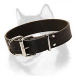 Smooth Leather Collar for Siberian Husky