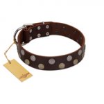 "Shadow Warrior" FDT Artisan Mystic Brown Leather Siberian Husky Collar with Runes