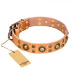 'Sophisticated Glamor' FDT Artisan Siberian Husky Tan Leather Dog Collar with Luxury Old-Bronze Plated Decorations