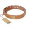 "The Middle Ages" FDT Artisan Handcrafted Tan Leather Siberian Husky Collar