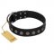 "Silent Star" Handmade FDT Artisan Designer Black Leather Siberian Husky Collar with Engraved Plates