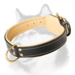 Handmade Siberian Husky Collar Royal Nappa Leather Padded