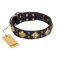 "Fancy-Schmancy" FDT Artisan Studded Leather Siberian Husky Collar