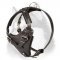 Super Quality Leather Harness for Siberian Husky