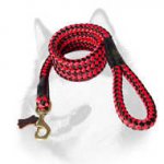 Strong Cord Nylon Dog Leash for Siberian Husky