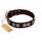 "High and Mighty" FDT Artisan Classy Brown Leather Siberian Husky Collar with Embellished Brooches