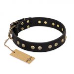 "Black Elegance" FDT Artisan Leather Siberian Husky Collar with Round Studs