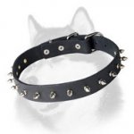 Fashion Spiked Leather Dog Collar for Siberian Husky