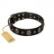 Pirate's Spell' FDT Artisan Black Leather Siberian Husky Collar with Engraved Studs and Medallions