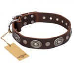 "Extra Pizzazz" FDT Artisan Adorned Brown Leather Siberian Husky Collar