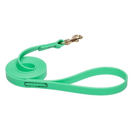 Green Waterproof Siberian Husky Leash Made of Biothane