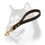 Elegant Short Leather Leash