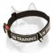 All Weather Nylon Collar with Patches