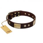 "Middle Age" FDT Artisan Brown Leather Siberian Husky Collar with Old Bronze-Plated Engraved Flowers and Large Plates