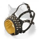Leather Muzzle with Stylish Spiked Decoration for Siberian Husky