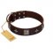 "Cold Star" Designer FDT Artisan Brown Leather Siberian Husky Collar with Silver-Like Adornments