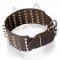 Fashion Spiked and Studded Siberian Husky Leather Dog Collar Wide