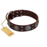 "Hypnotic Stones" FDT Artisan Brown Leather Siberian Husky Collar with Chrome Plated Brooches and Square Studs