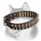 Spiked & Studded Leather Dog Collars for Siberian Husky