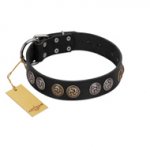 "Mister Exclusive" Designer FDT Artisan Black Leather Siberian Husky Collar with Medallions