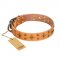 'Top-Flight' FDT Artisan Adorned Tan Leather Siberian Husky Collar