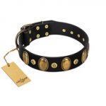 "Venerable Pawty" FDT Artisan Black Leather Siberian Husky Collar with Old Bronze-like Ovals and Studs