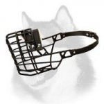 Siberian Husky Perfect Wire Muzzle for Low Temperatures