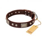 "Pirate Skull" FDT Artisan Brown Leather Siberian Husky Collar with Old Silver Look Plates and Skulls