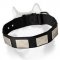 Nylon Dog Collar With Large Viantage Plates for Siberian Husky, Akita, Malamute