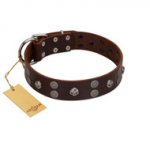 "Skull Valley" Handcrafted FDT Artisan Brown Leather Siberian Husky Collar with Skulls